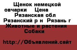 Щенок немецкой овчарки  › Цена ­ 15 000 - Рязанская обл., Рязанский р-н, Рязань г. Животные и растения » Собаки   